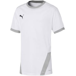 Koszulka Puma teamGOAL 23 Jersey Jr 704160 04