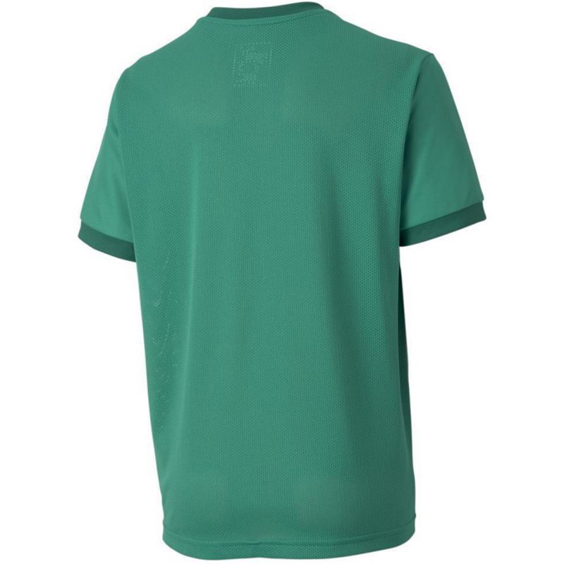 Koszulka Puma teamGOAL 23 Jersey Jr 704160 05 - obrazek 4