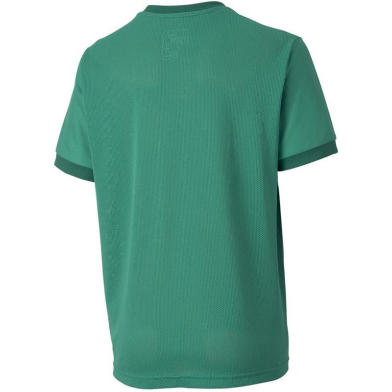 Koszulka Puma teamGOAL 23 Jersey Jr 704160 05 - obrazek 8