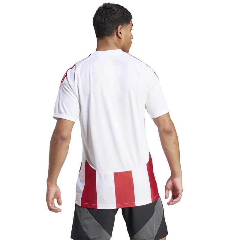 Koszulka adidas Striped 24 JSY M IW2142 - obrazek 2