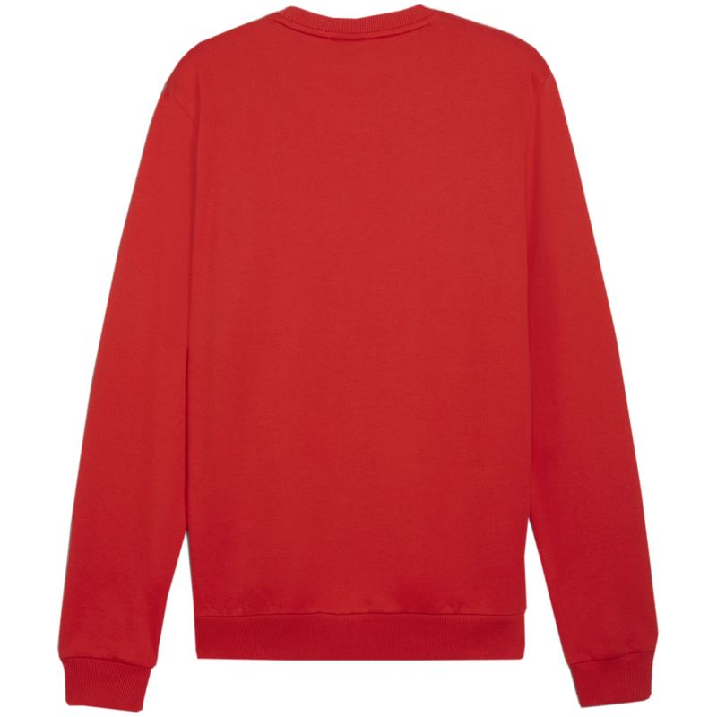 Bluza Puma Team Goal Casuals Crew Neck Sweat M 658592 01 - obrazek 8
