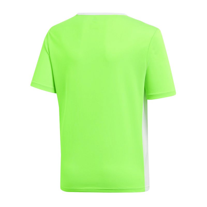 Koszulka adidas Entrada 18 Jr CE9755 - obrazek 2