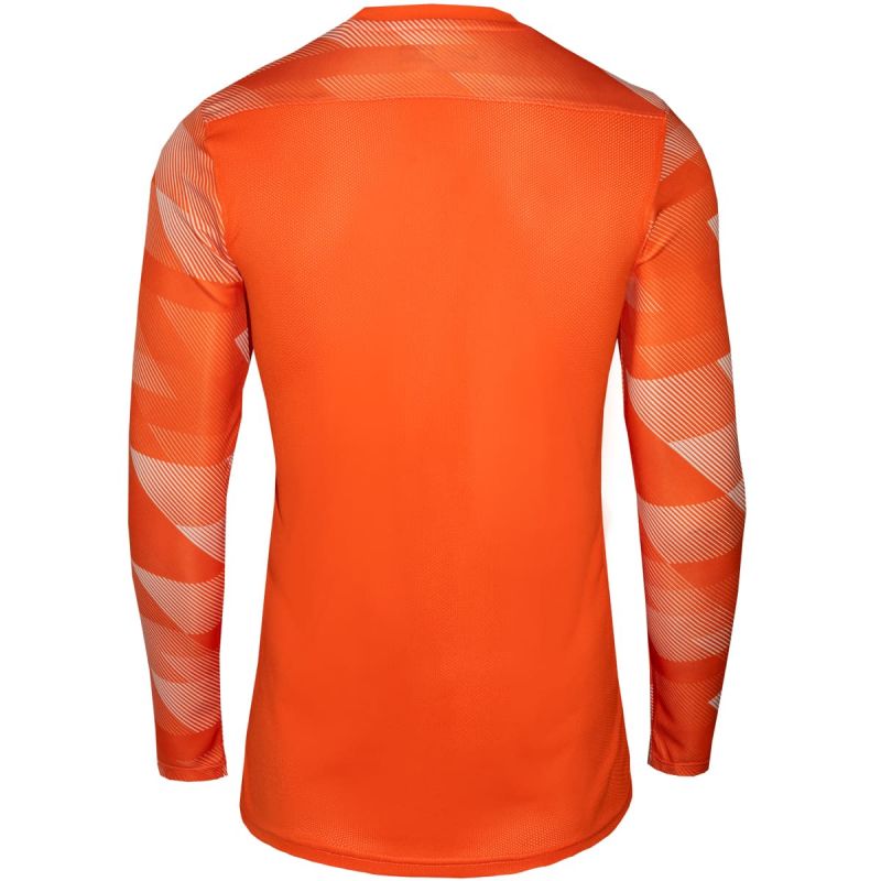 Koszulka Nike Dry Park IV JSY LS GK Jr CJ6072-819 - obrazek 3