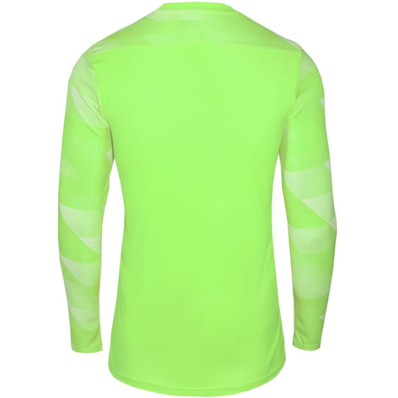 Koszulka Nike Dry Park IV JSY LS GK Jr CJ6072-702 - obrazek 3