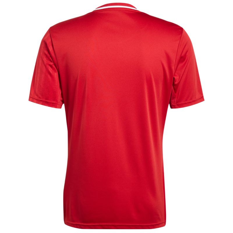 Koszulka adidas Campeon 25 Jersey M JF6058 - obrazek 11