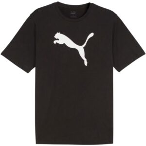 Koszulka Puma Team Rise Logo Jersey Cotton M 658705 03