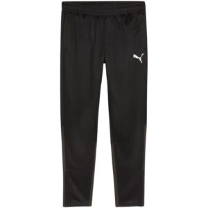 Spodnie Puma Team Goal Training M 658639 03