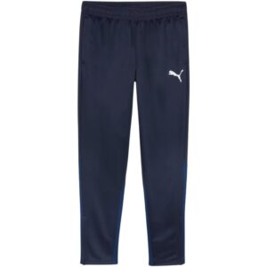 Spodnie Puma Team Goal Training M 658639 06