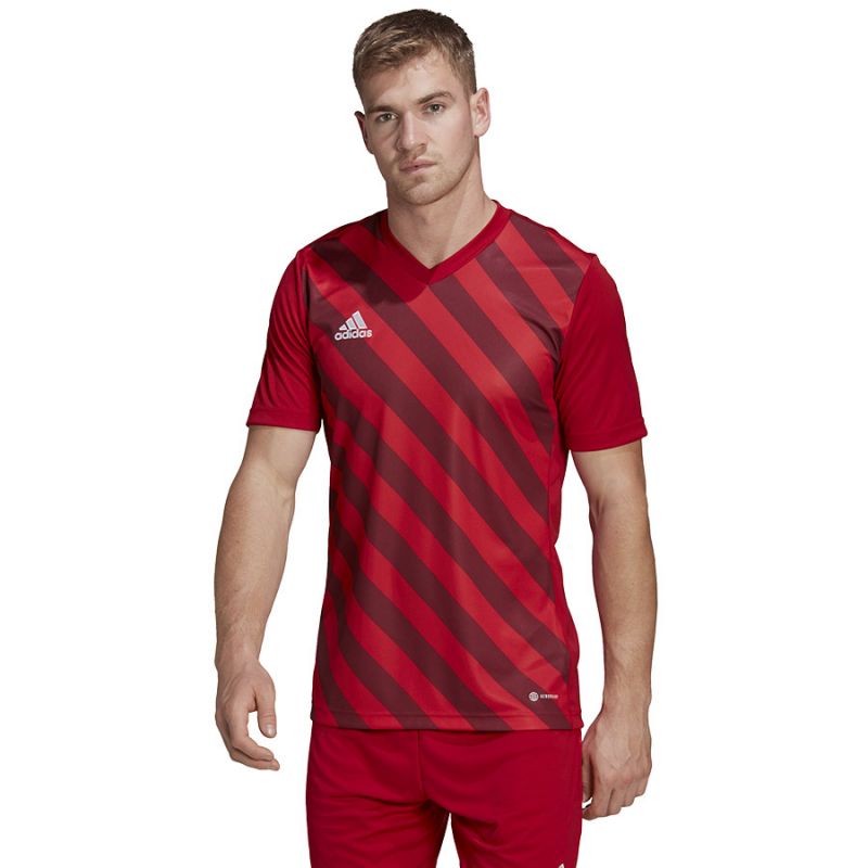Koszulka adidas Entrada 22 Graphic Jersey M HB0572 - obrazek 10