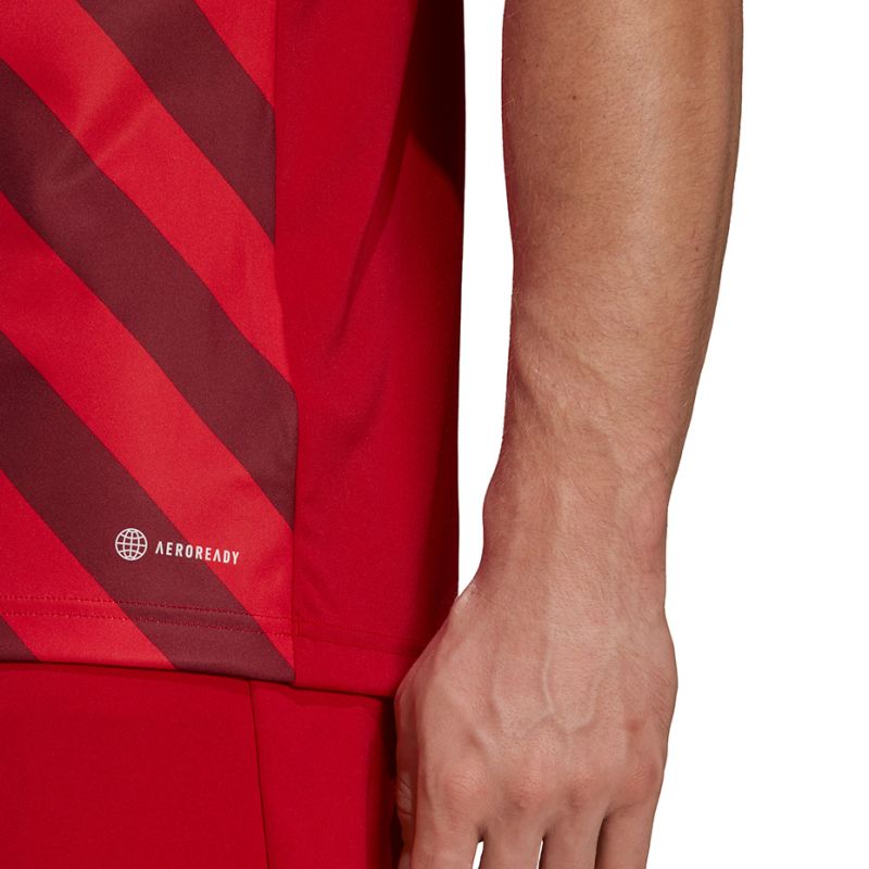 Koszulka adidas Entrada 22 Graphic Jersey M HB0572 - obrazek 16
