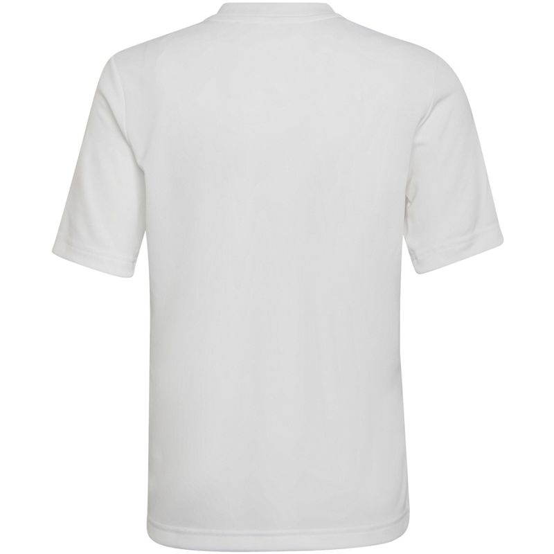 Koszulka adidas Entrada 22 Graphic Jersey Jr HF0120 - obrazek 13