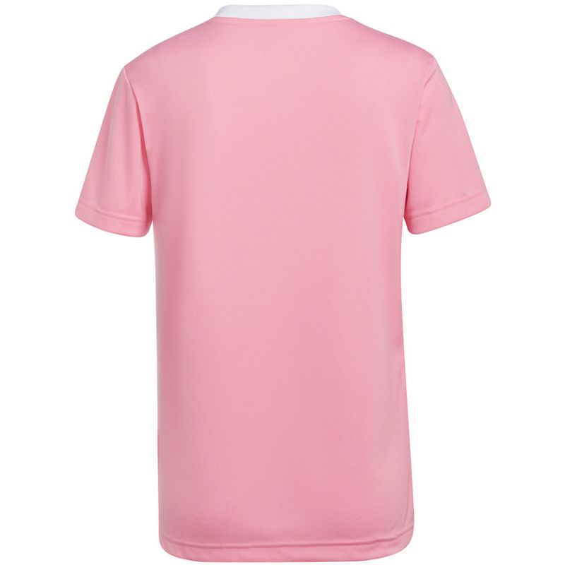 Koszulka adidas Entrada 22 Jersey W HC5075 - obrazek 7