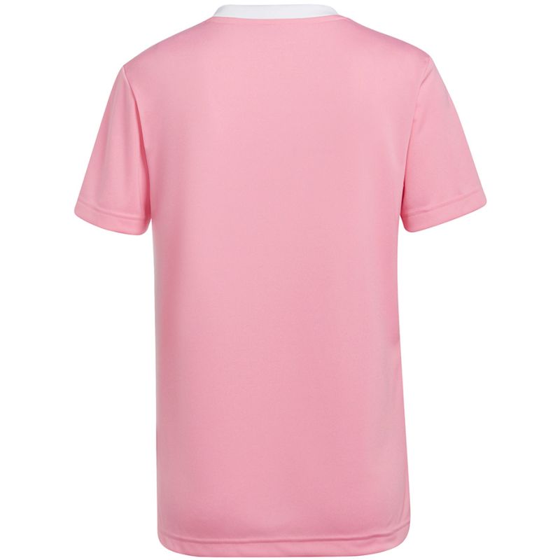 Koszulka adidas Entrada 22 Jersey W HC5075 - obrazek 14