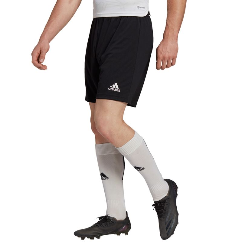 Spodenki adidas Entrada 22 M H57504 - obrazek 13