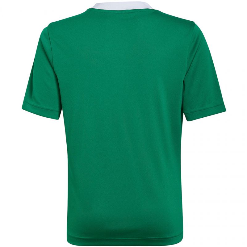 Koszulka adidas Entrada 22 Jersey Jr HI2126 - obrazek 3
