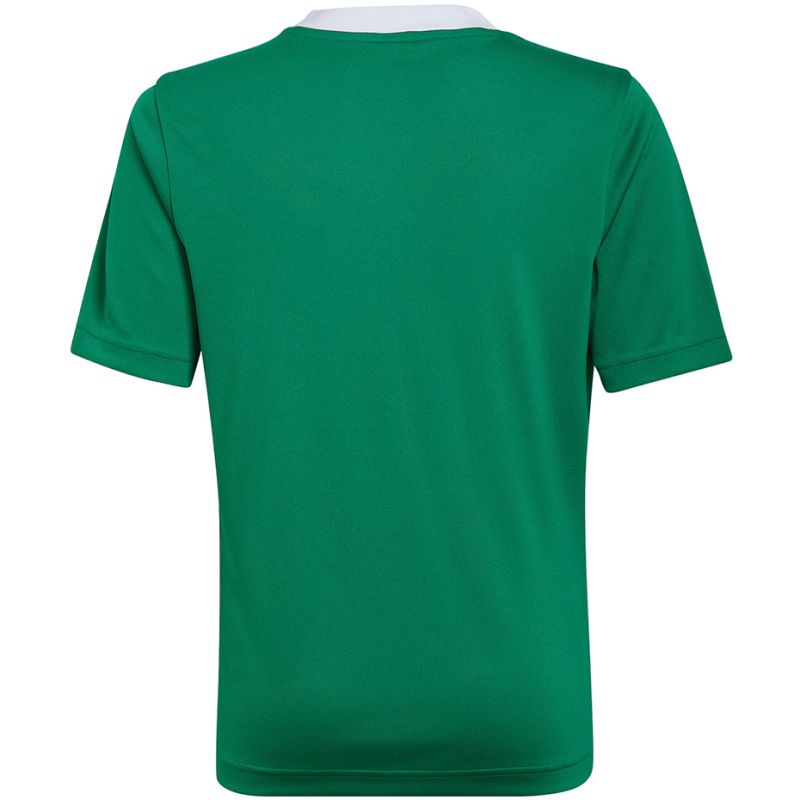 Koszulka adidas Entrada 22 Jersey Jr HI2126 - obrazek 8