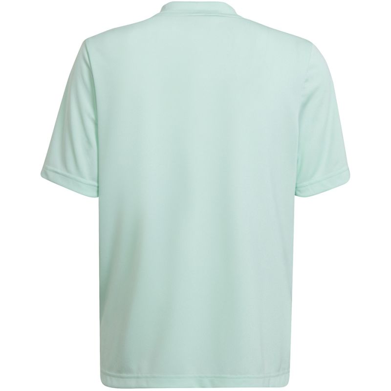 Koszulka adidas Entrada 22 Graphic Jersey Jr HF0127 - obrazek 13