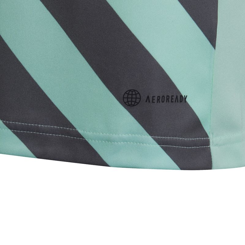 Koszulka adidas Entrada 22 Graphic Jersey Jr HF0127 - obrazek 15