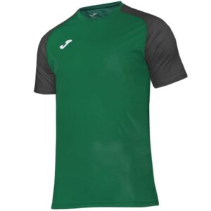Koszulka piłkarska Joma Academy IV Sleeve 101968.451