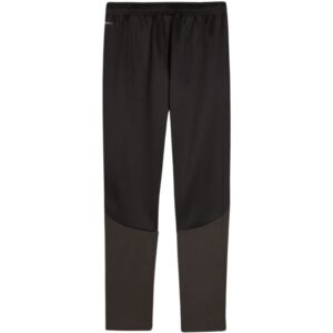 Spodnie dla dzieci Puma Team Goal Training czarne 658641 03
