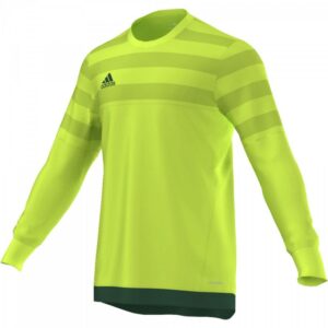 Bluza bramkarska adidas ENTRY 15 GK Junior AP0323